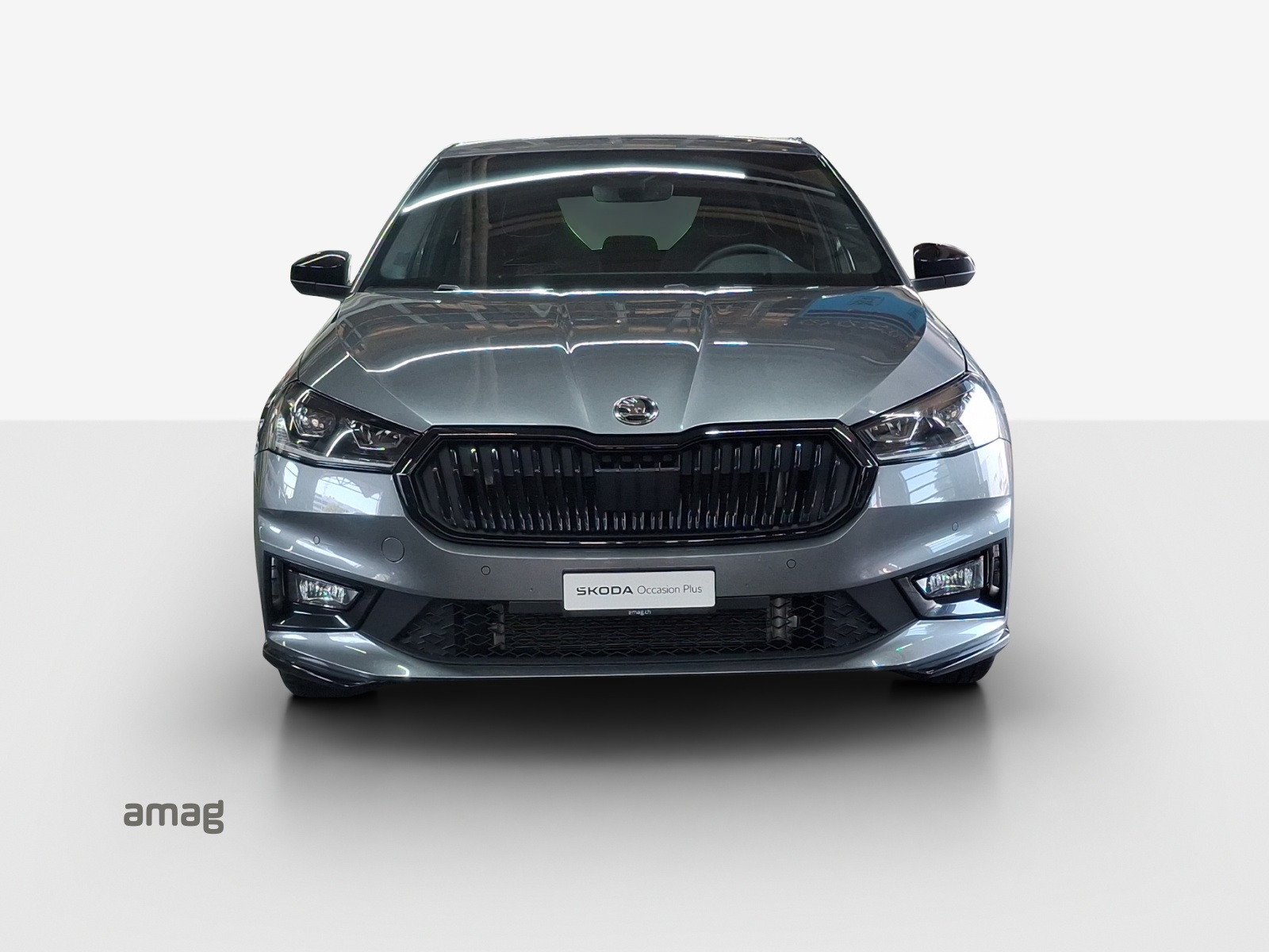 SKODA Fabia 1.5 TSI Monte Carlo DSG-image-6