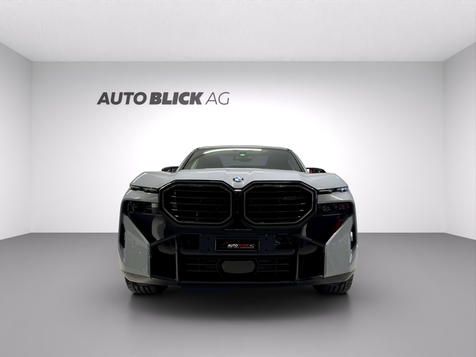 BMW XM xDrive PHEV Steptronic Label-image-2