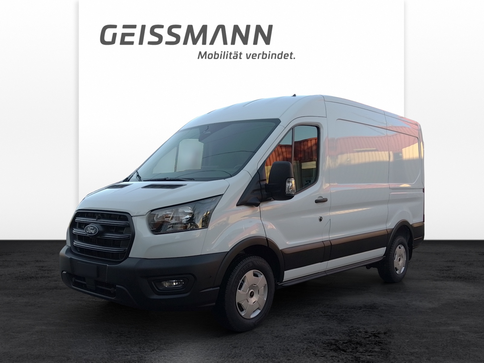 FORD Transit Van 350 L2H2 2.0 EcoBlue 165 Trend-image-0