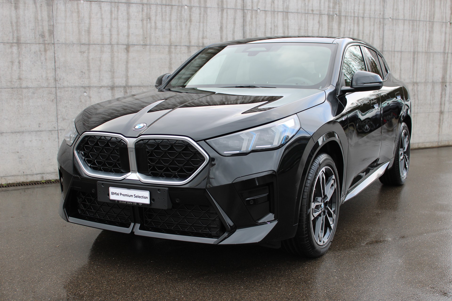 BMW X2 xDr 20d 48V M Sport-image-2
