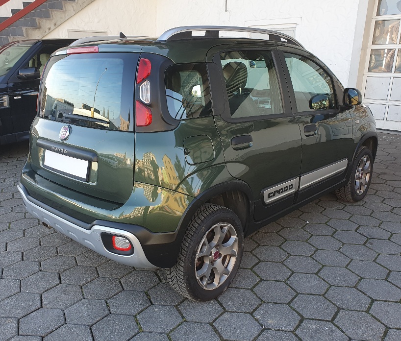 FIAT Panda 1.3 MJ Cross 4x4-image-2