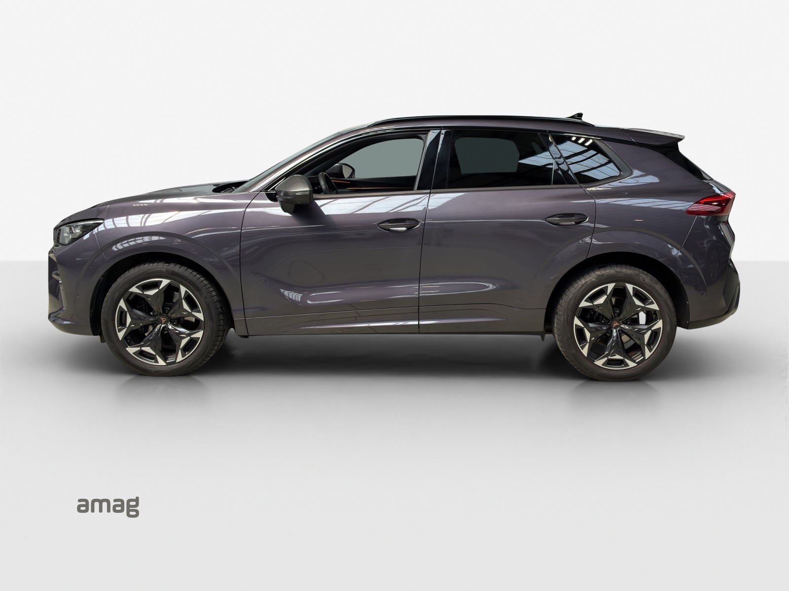 CUPRA Terramar 2.0 TSI DSG 4Drive VZ-image-1