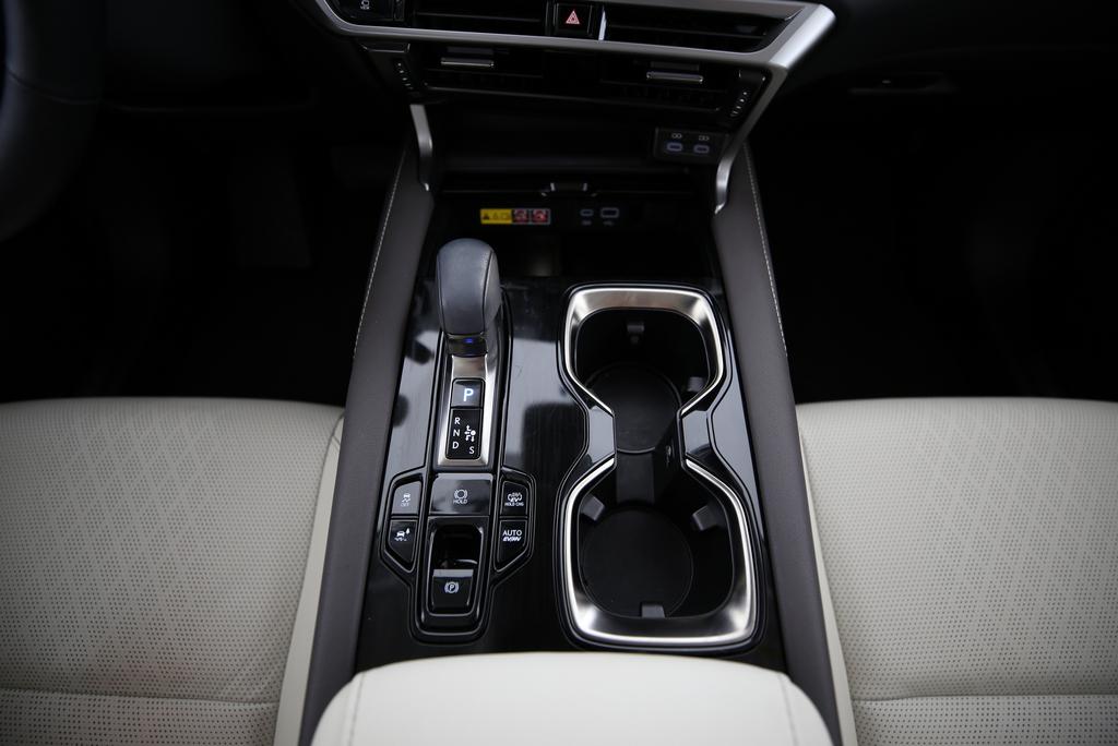 LEXUS RX 450h+ F-Line-image-8