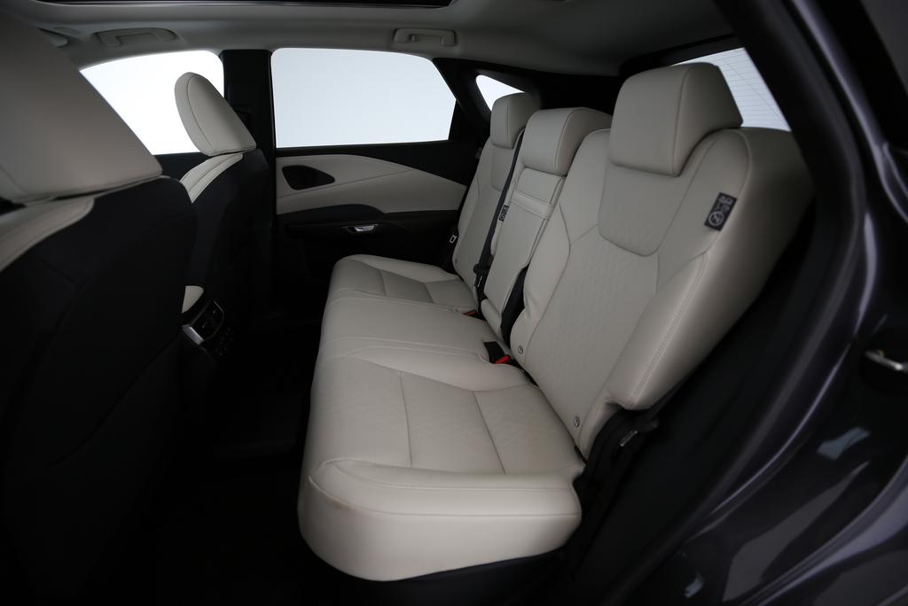 LEXUS RX 450h+ F-Line-image-9