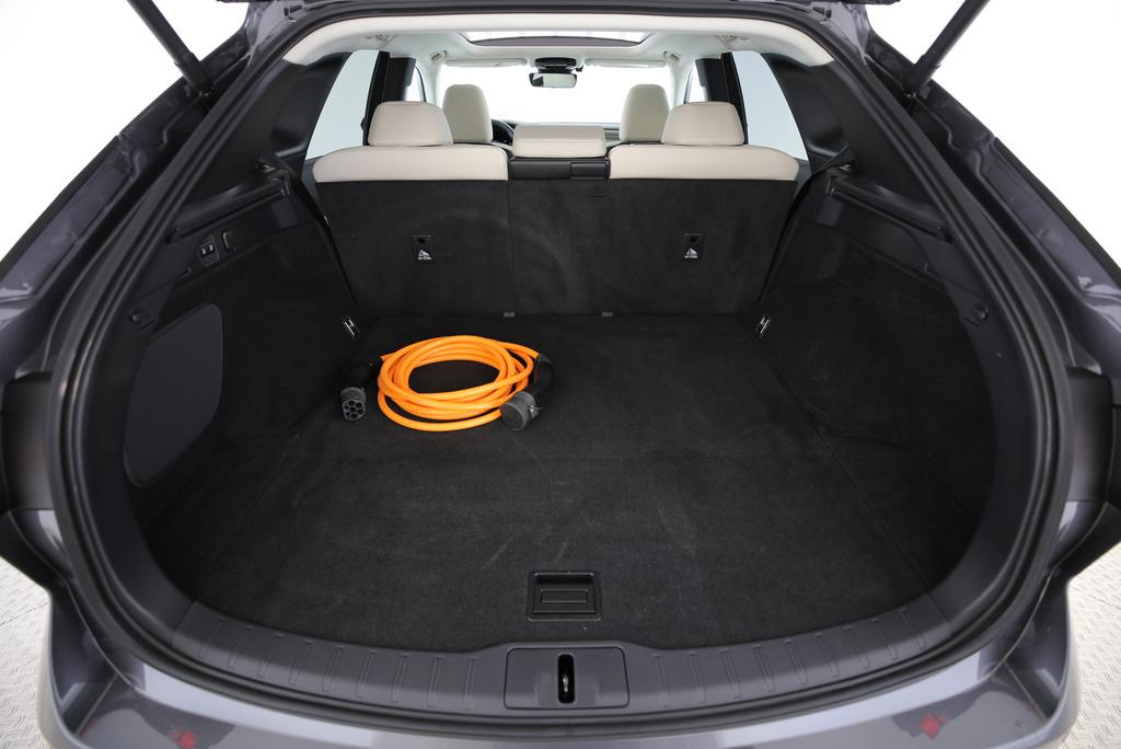 LEXUS RX 450h+ F-Line-image-13