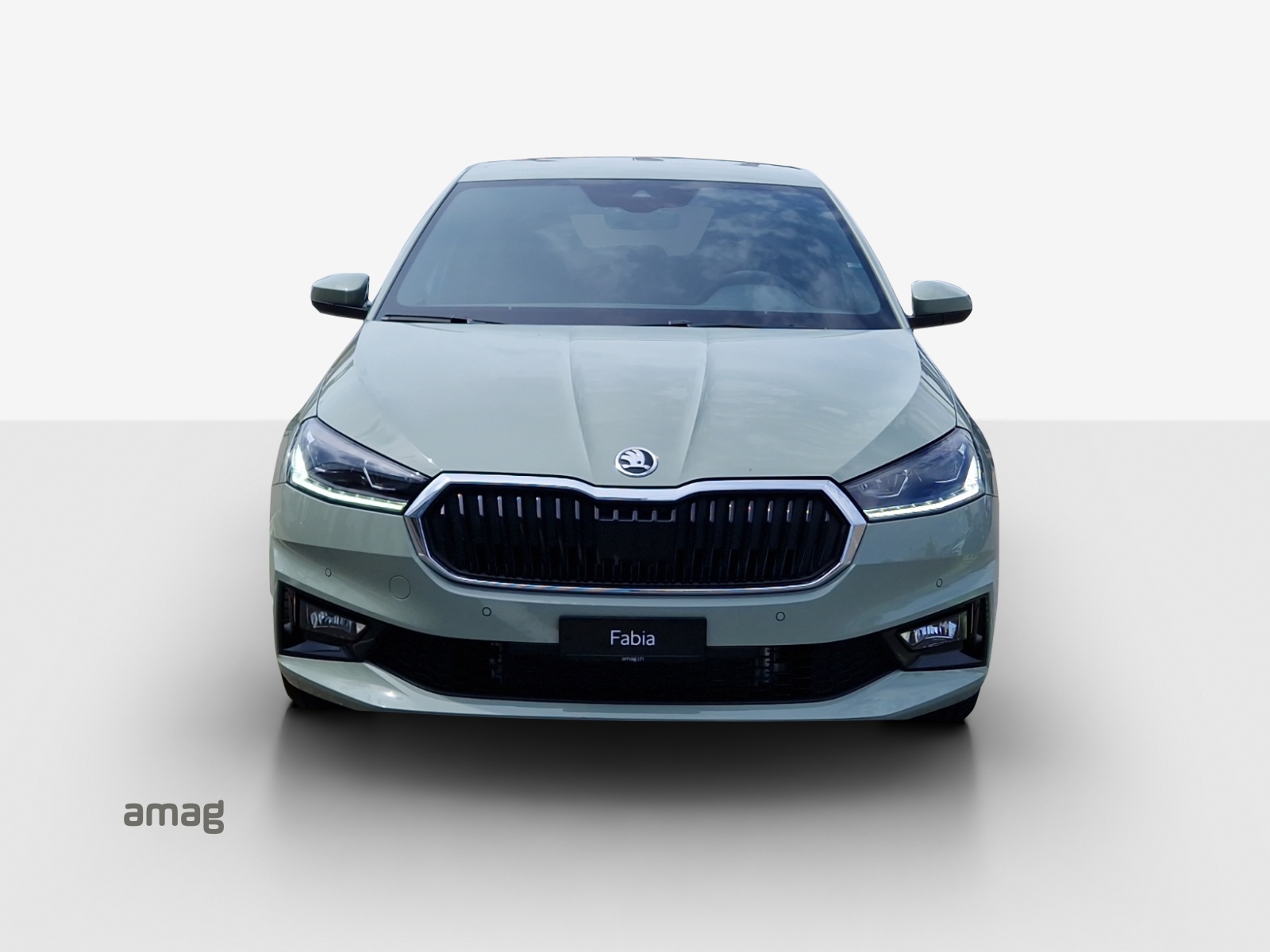 SKODA Fabia 1.0 TSI Dynamic DSG-image-6
