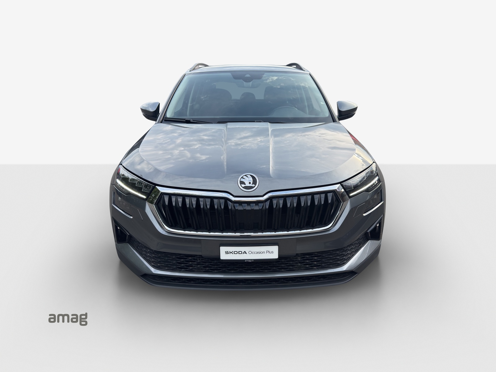 SKODA Karoq 2.0 TDI CR Selection 4x4 DSG-image-6