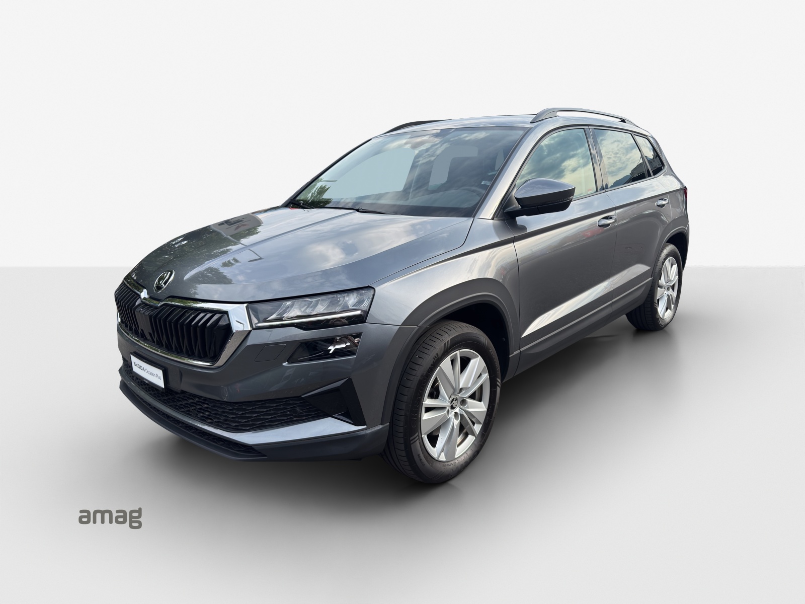 SKODA Karoq 2.0 TDI CR Selection 4x4 DSG-image-0