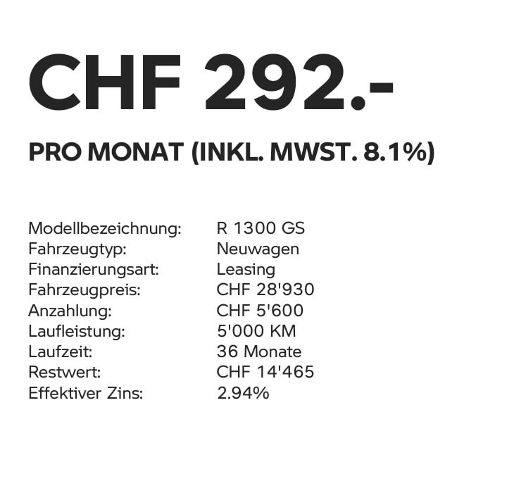 BMW R 1300 GS-image-13