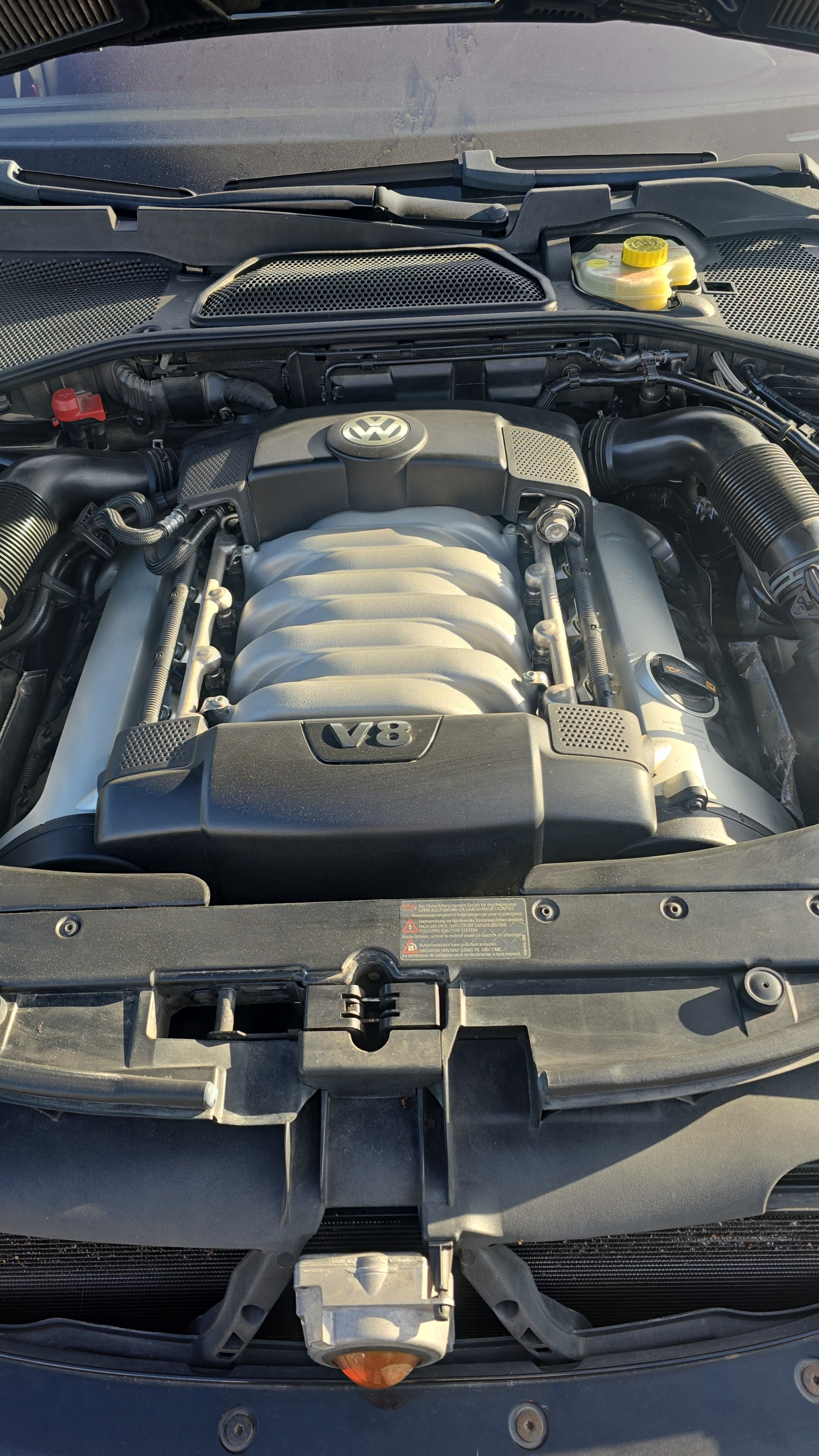 VW PHAETON 42 v8-image-12
