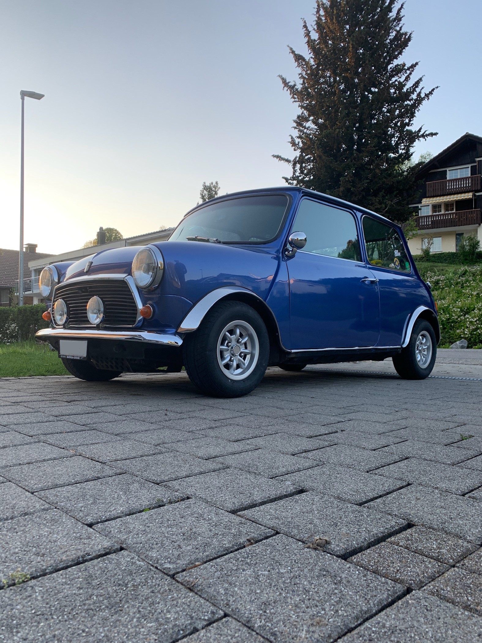 MINI 1000 HL-image-0