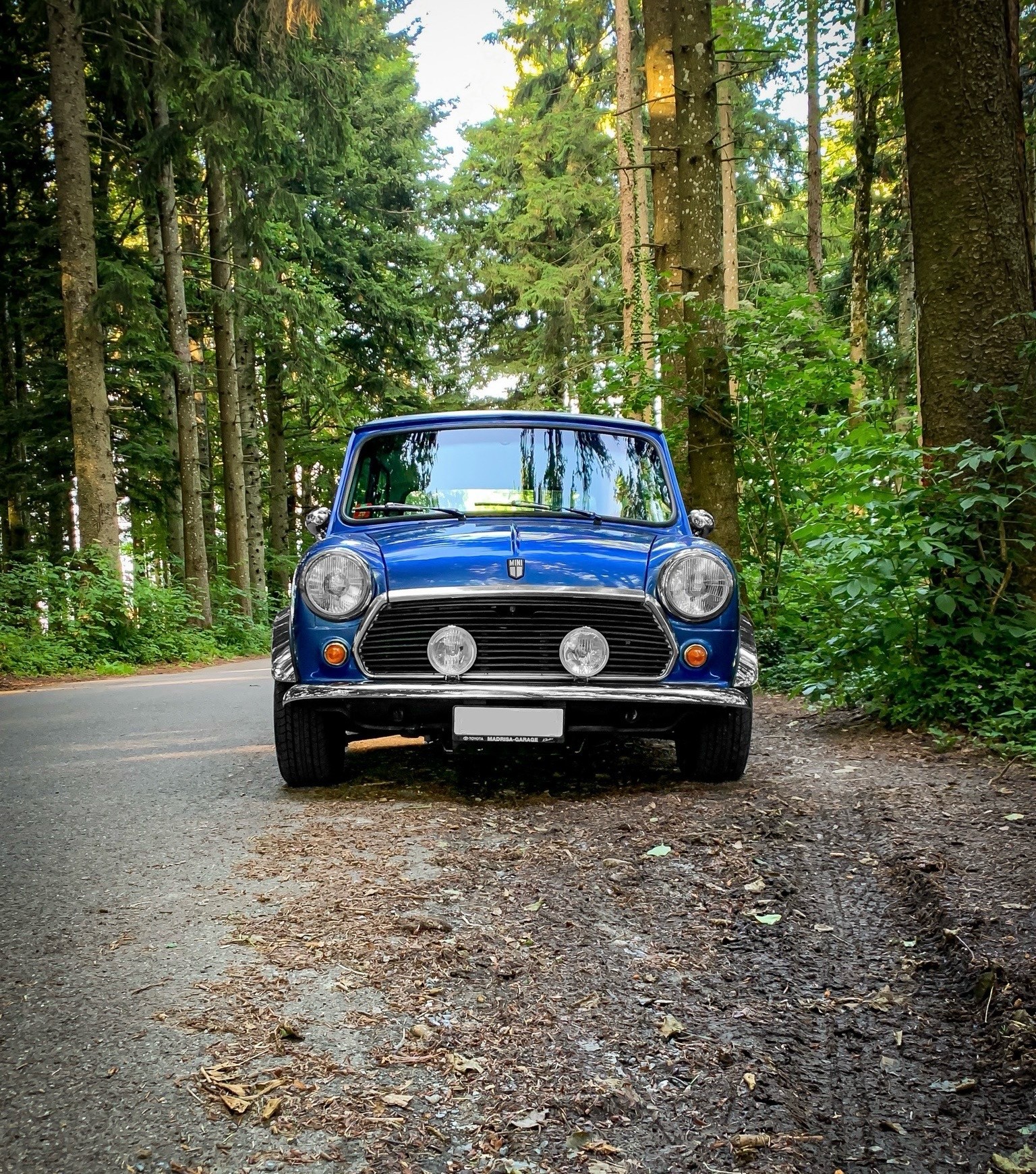 MINI 1000 HL-image-4
