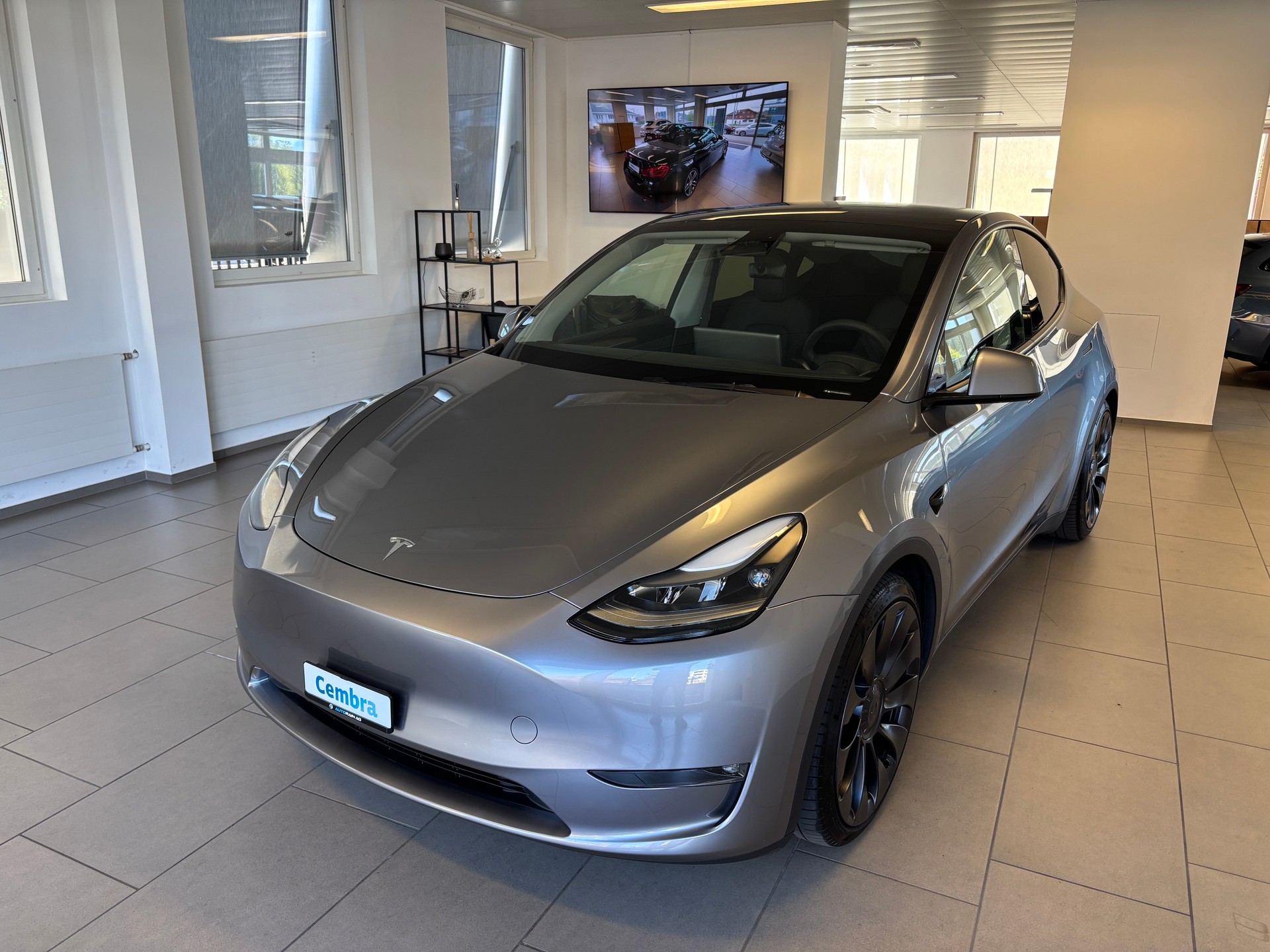 TESLA Model Y Performance-image-0