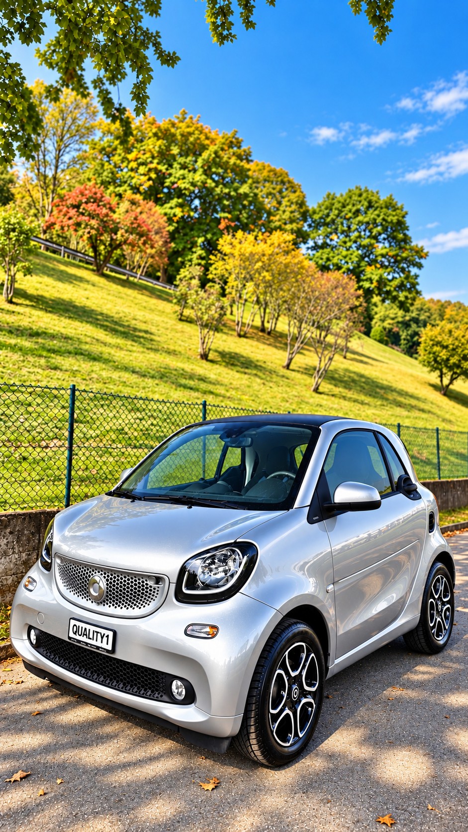 SMART fortwo passion twinmatic-image-2