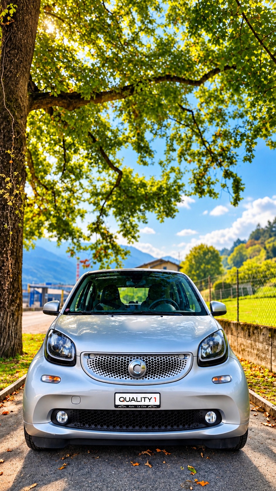 SMART fortwo passion twinmatic-image-1