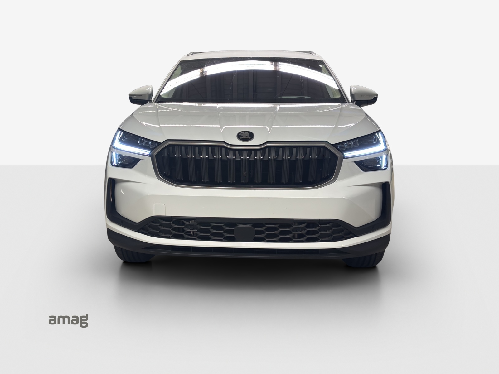 SKODA Kodiaq 1.5 TSI PHEV Dynamic-image-6