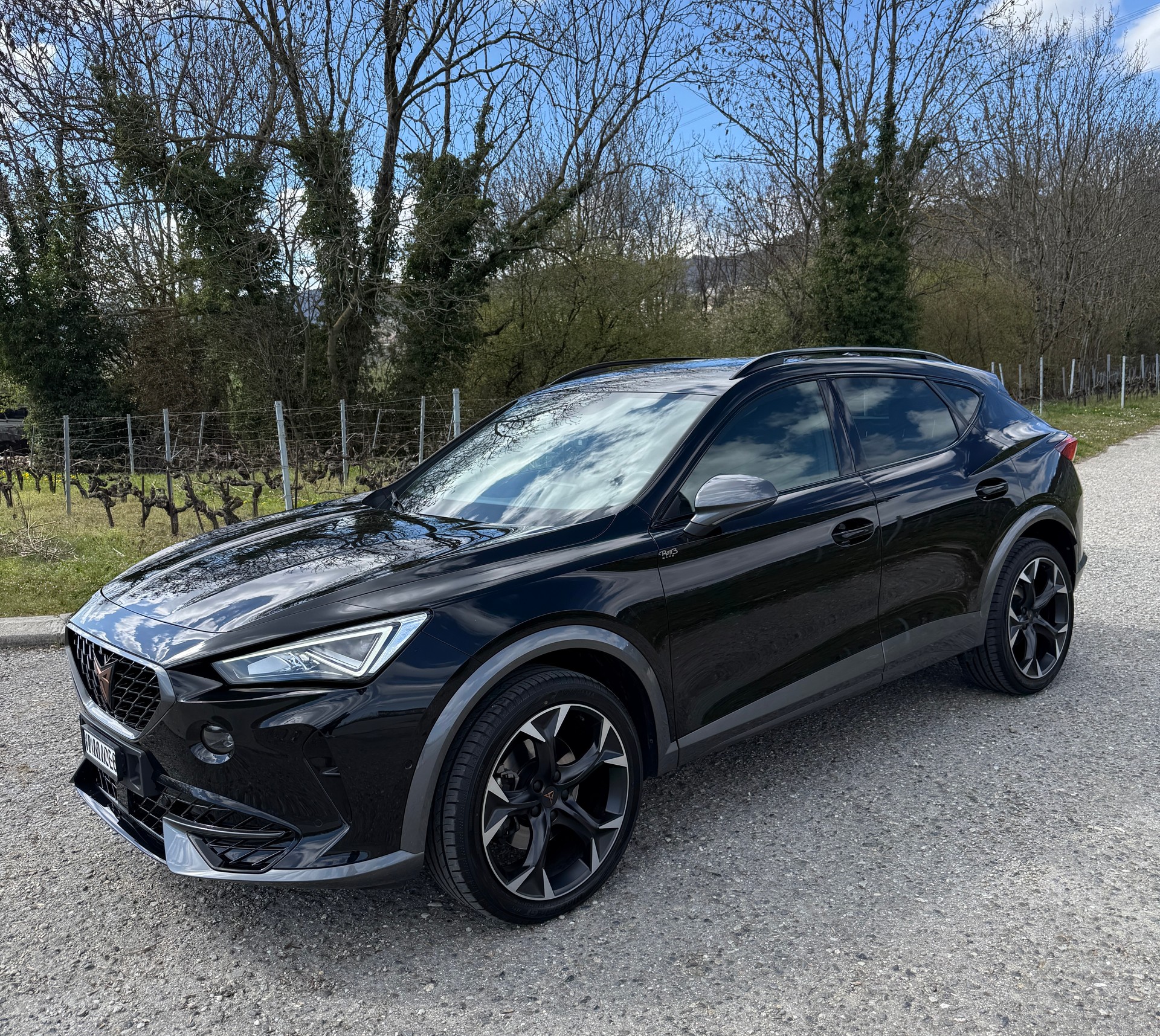 CUPRA Formentor 1.5 TSI DSG