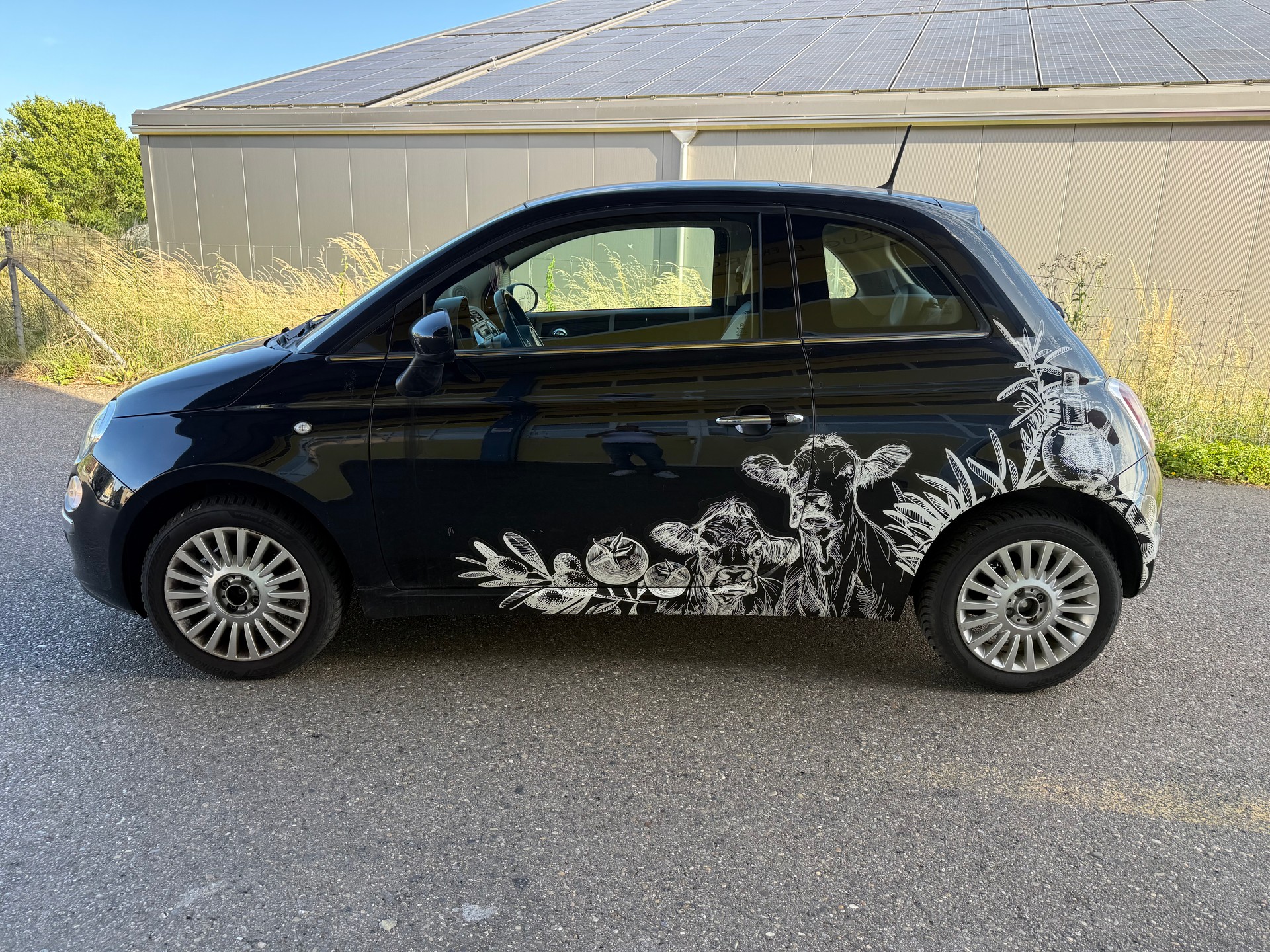FIAT 500 1.2 Lounge-image-6