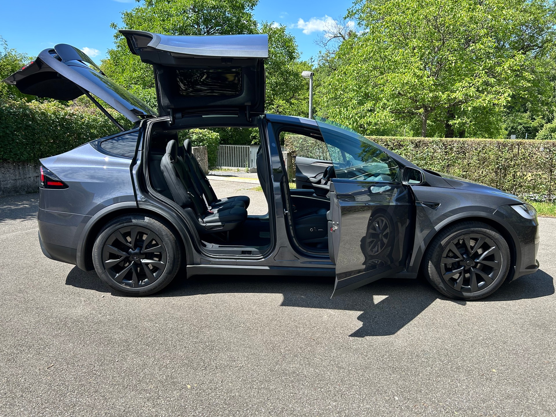 TESLA Basis-image-4