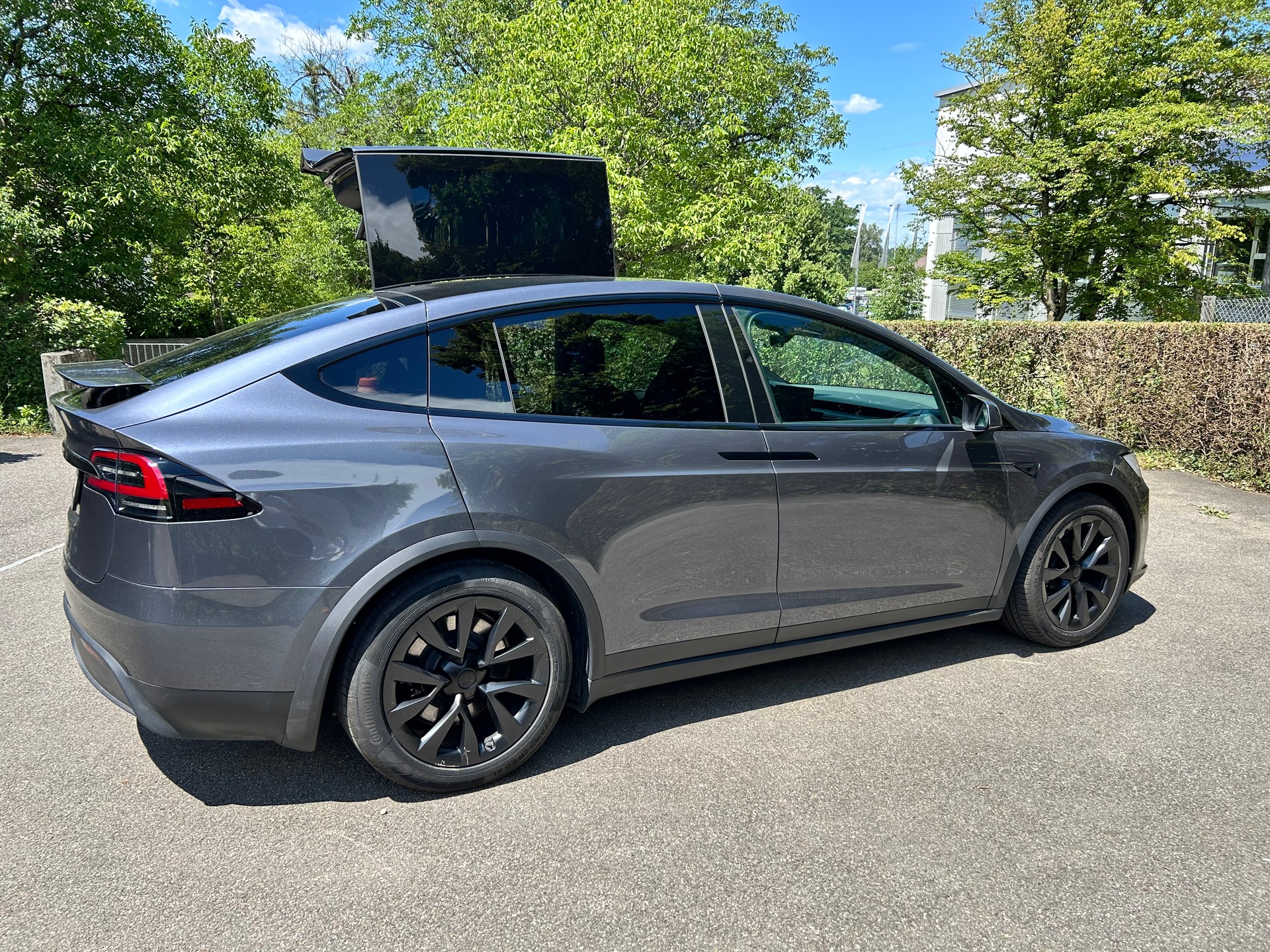 TESLA Basis-image-3