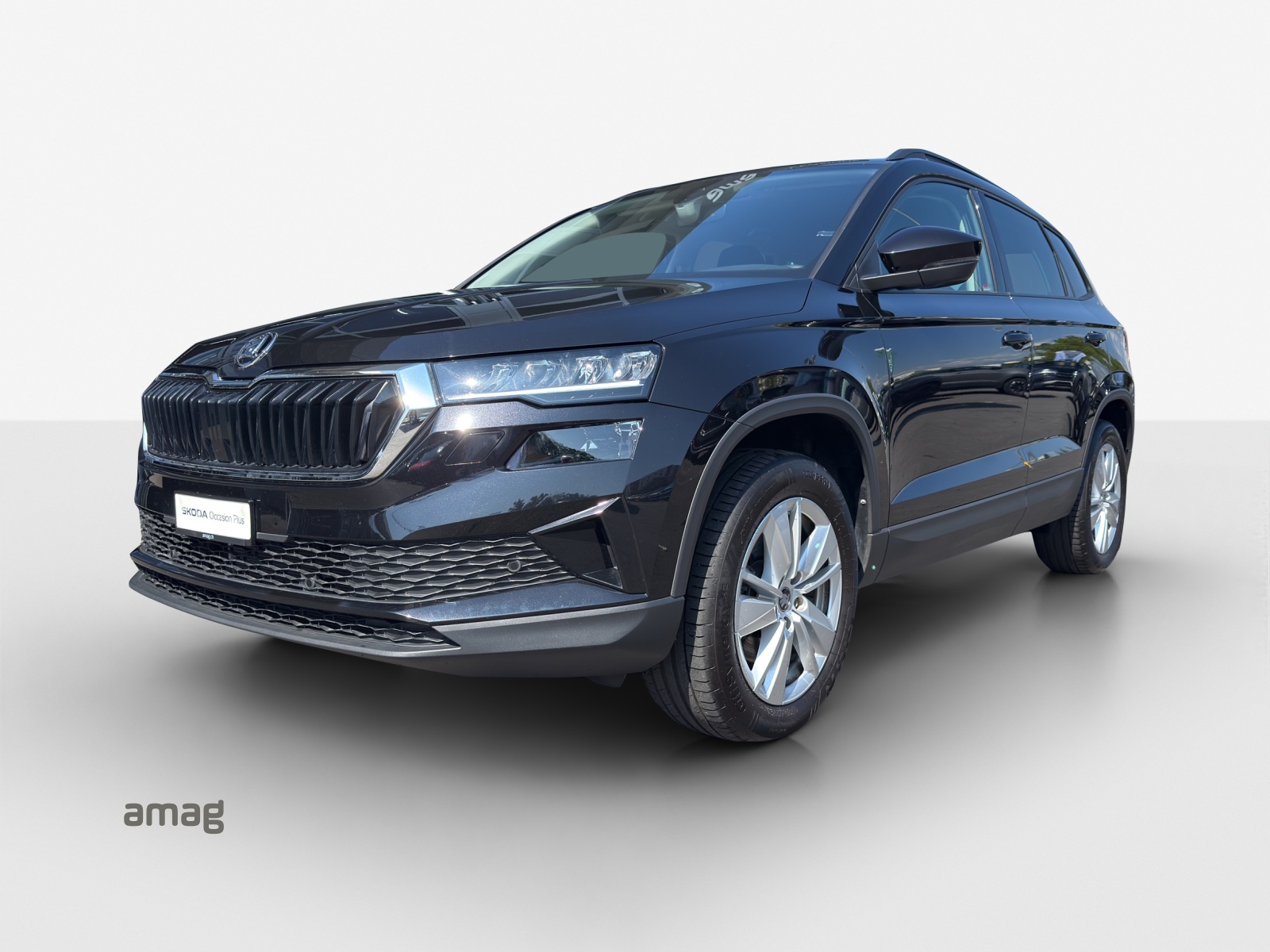 SKODA Karoq 2.0 TDI CR Selection 4x4 DSG-image-0