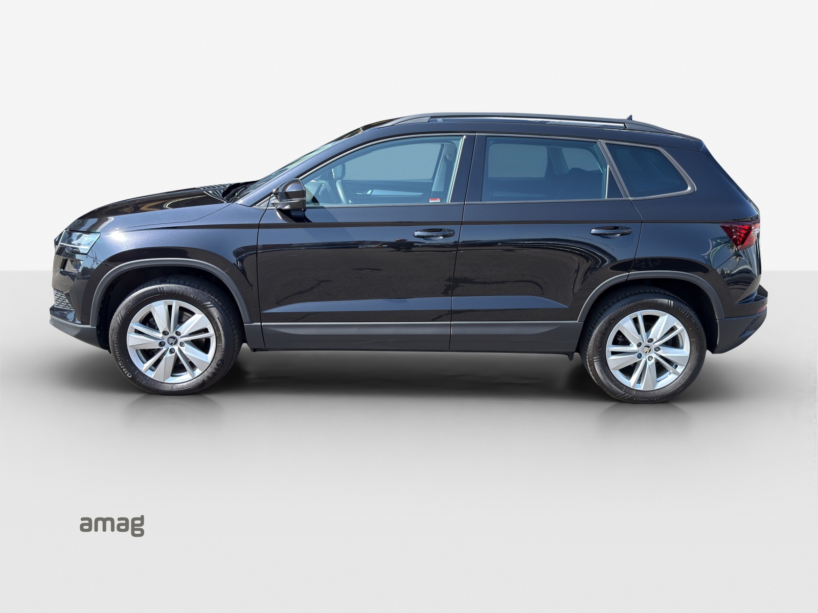 SKODA Karoq 2.0 TDI CR Selection 4x4 DSG-image-1