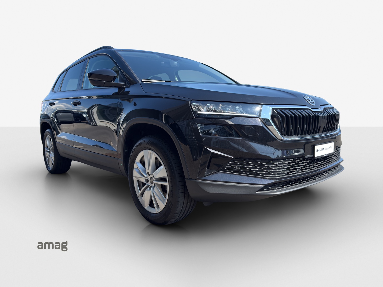 SKODA Karoq 2.0 TDI CR Selection 4x4 DSG-image-5