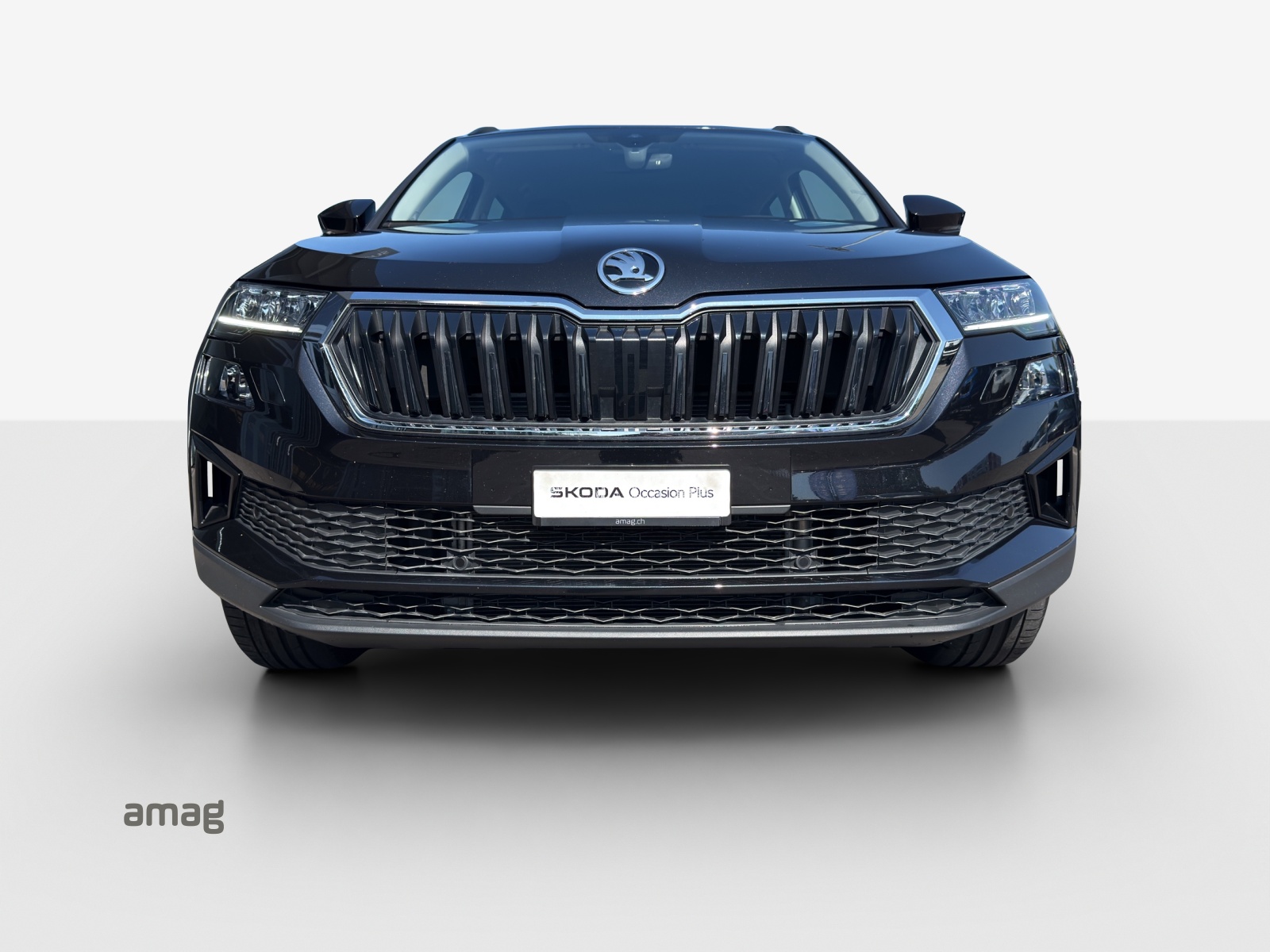 SKODA Karoq 2.0 TDI CR Selection 4x4 DSG-image-6