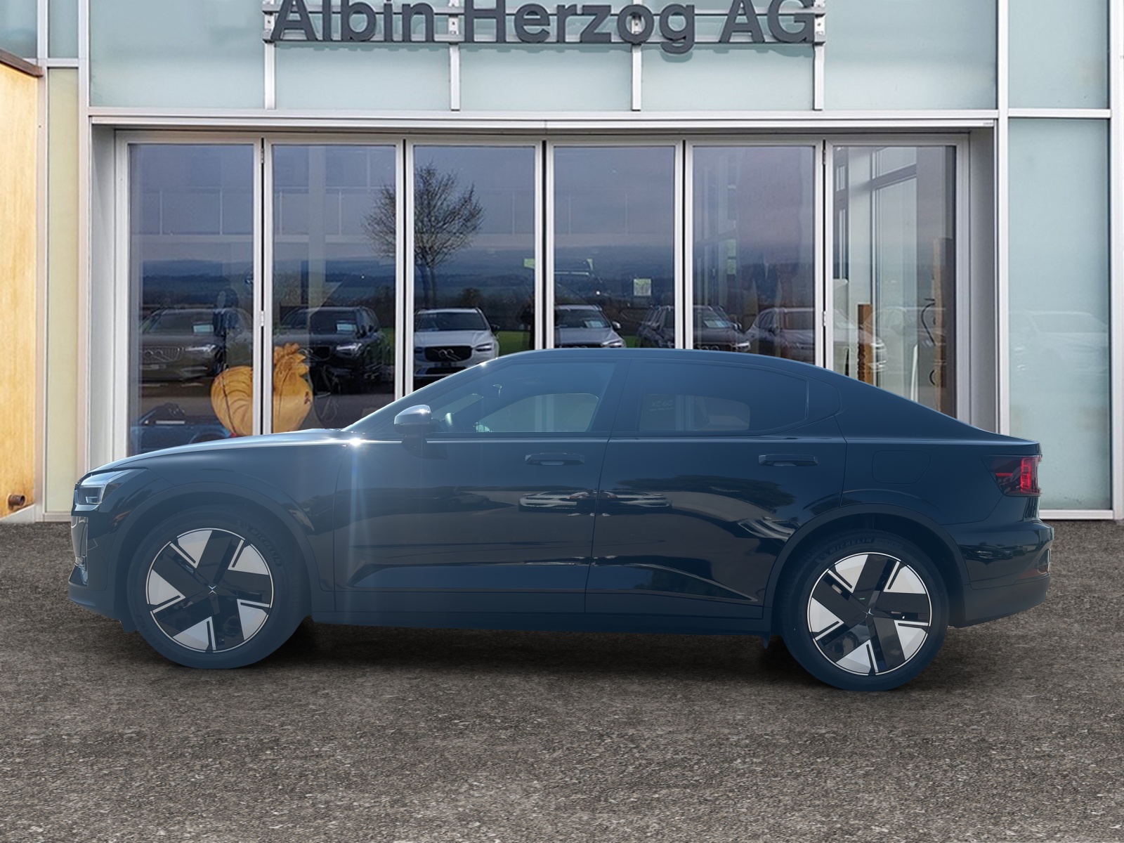 POLESTAR 2 Long Range Dual Motor-showroom-element-1