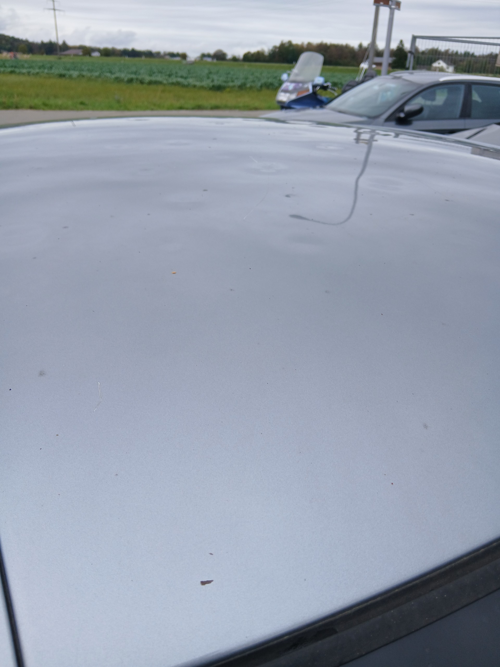 BMW 318i-image-6