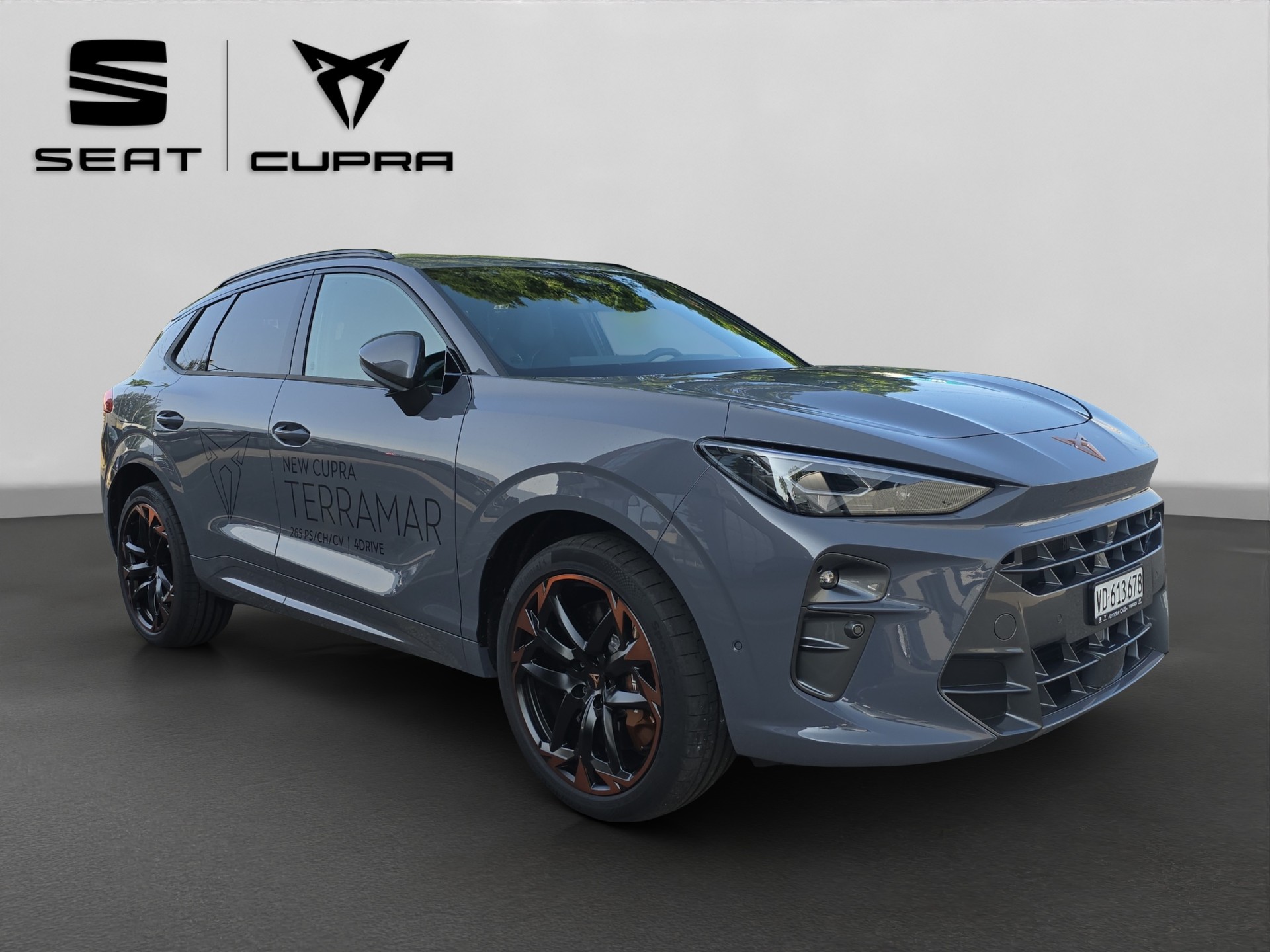 CUPRA Terramar 2.0 TSI DSG 4Drive VZ-image-17