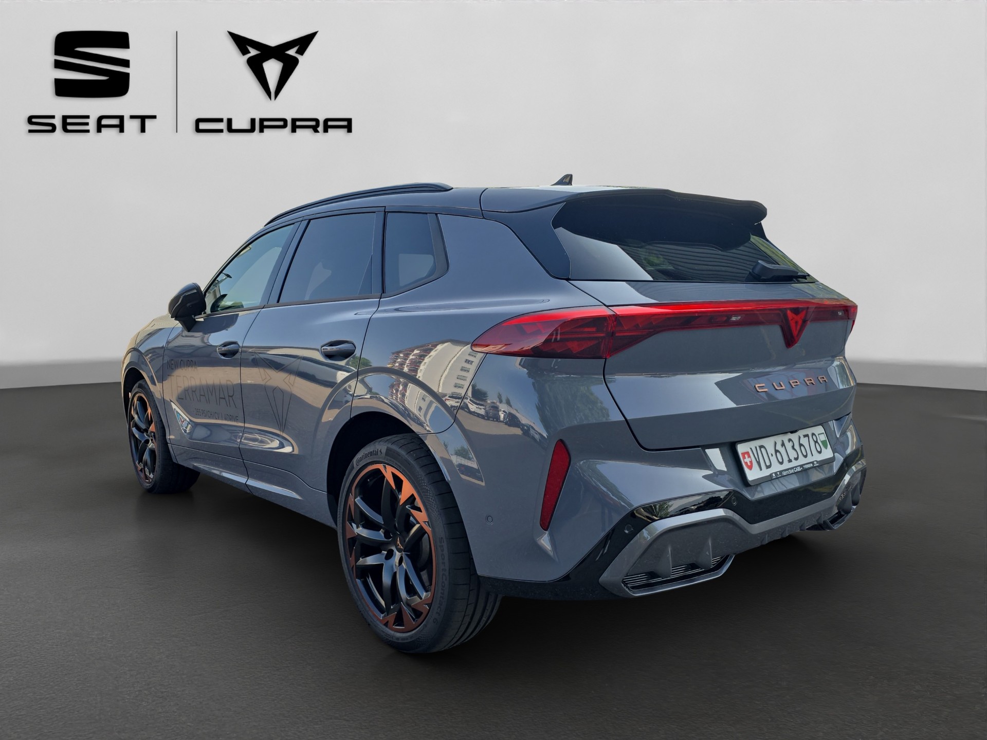 CUPRA Terramar 2.0 TSI DSG 4Drive VZ-image-9