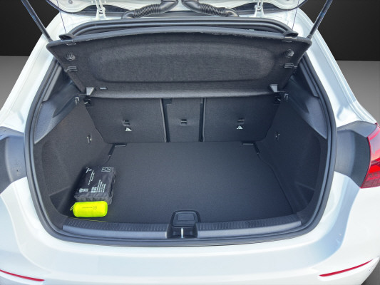 MERCEDES-BENZ A 250 4Matic 8G-DCT-image-12