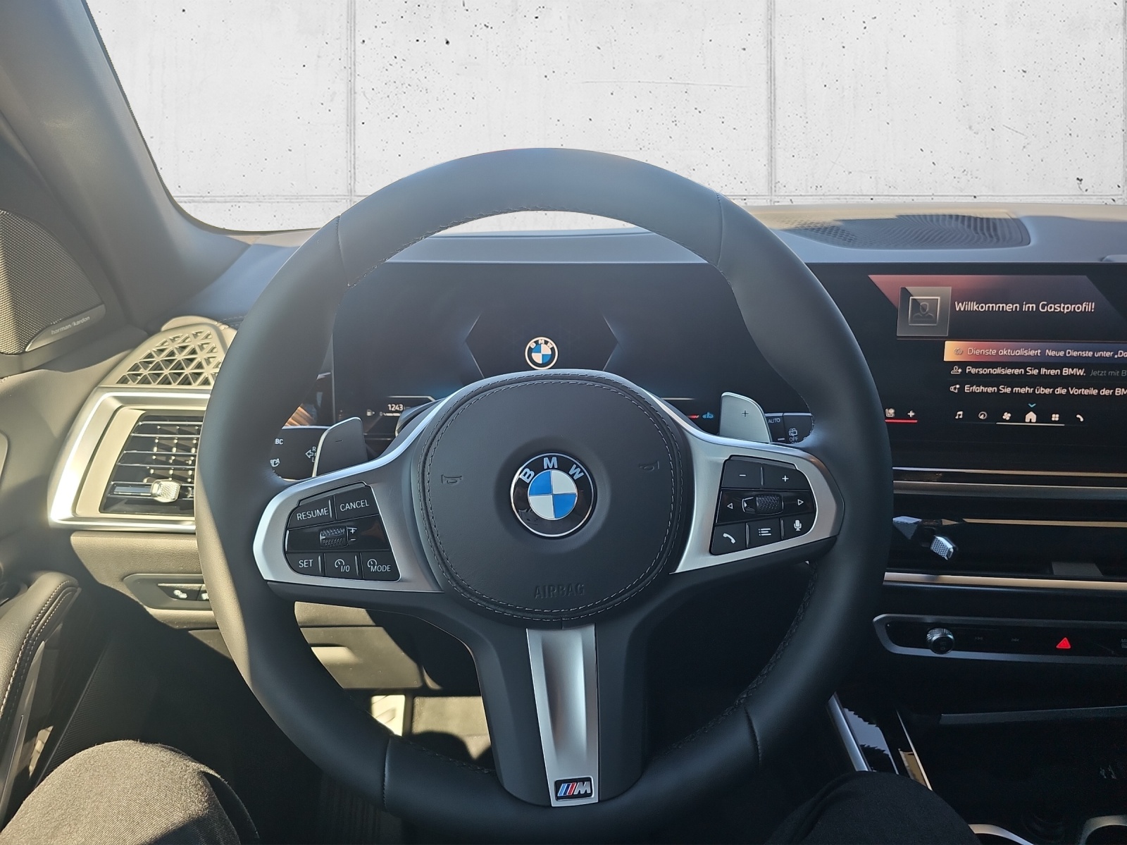 BMW X5 xD 48V 40d M Sport Pro-image-10