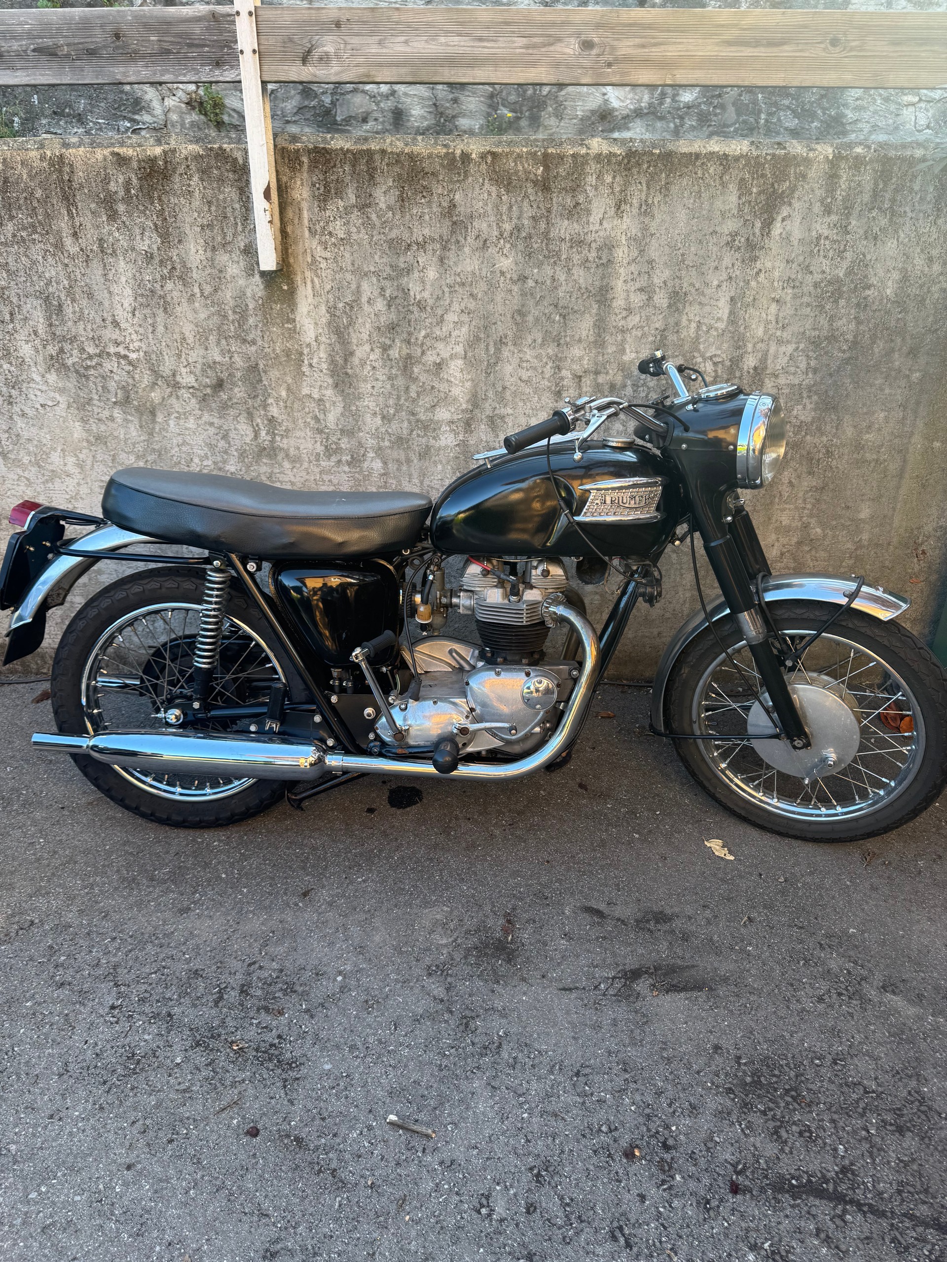 TRIUMPH Thunderbird