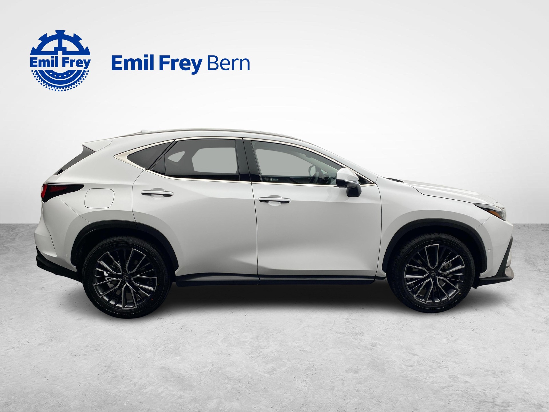 LEXUS NX 450h+ Excellence-image-5