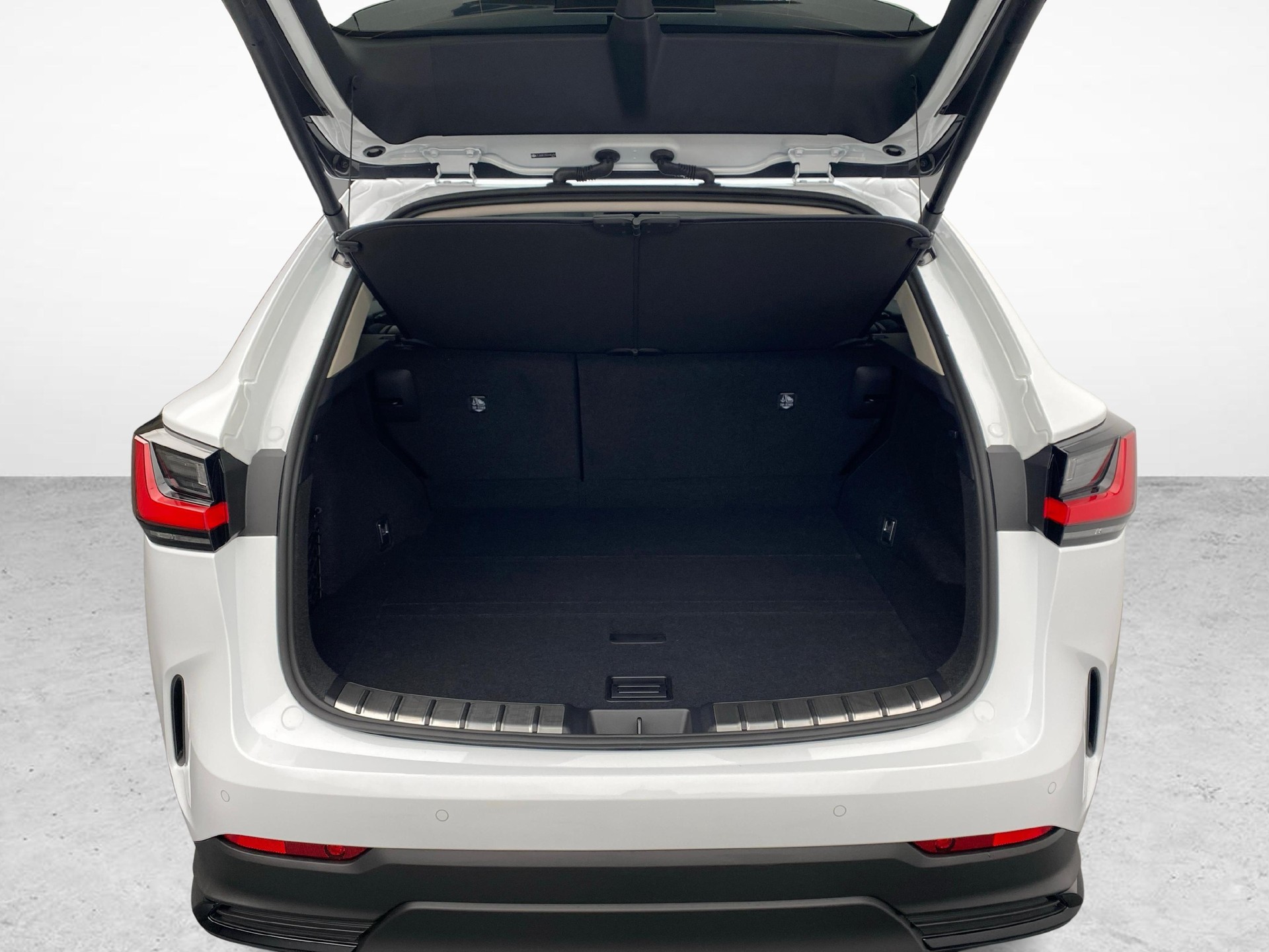 LEXUS NX 450h+ Excellence-image-15