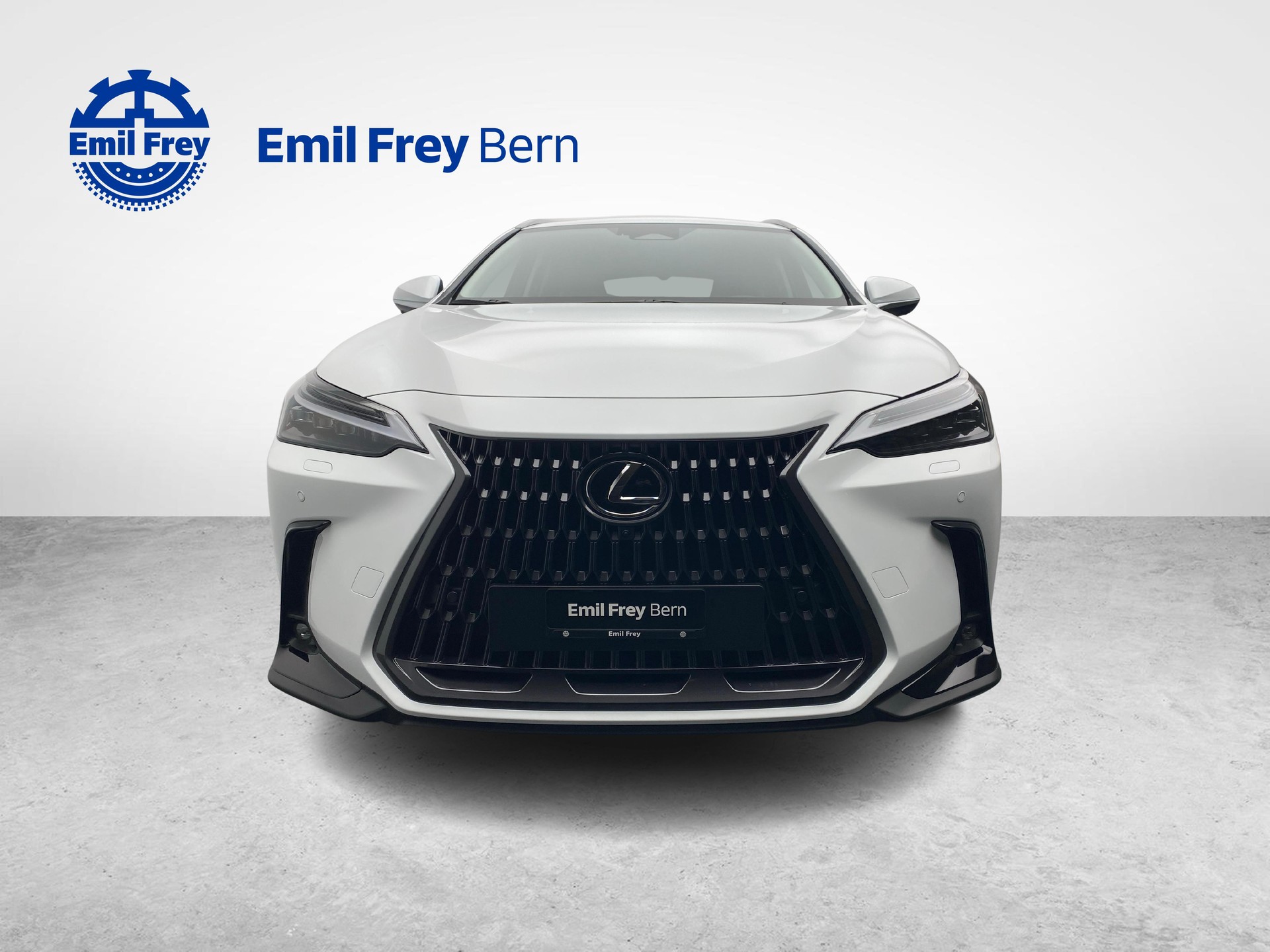 LEXUS NX 450h+ Excellence-image-10