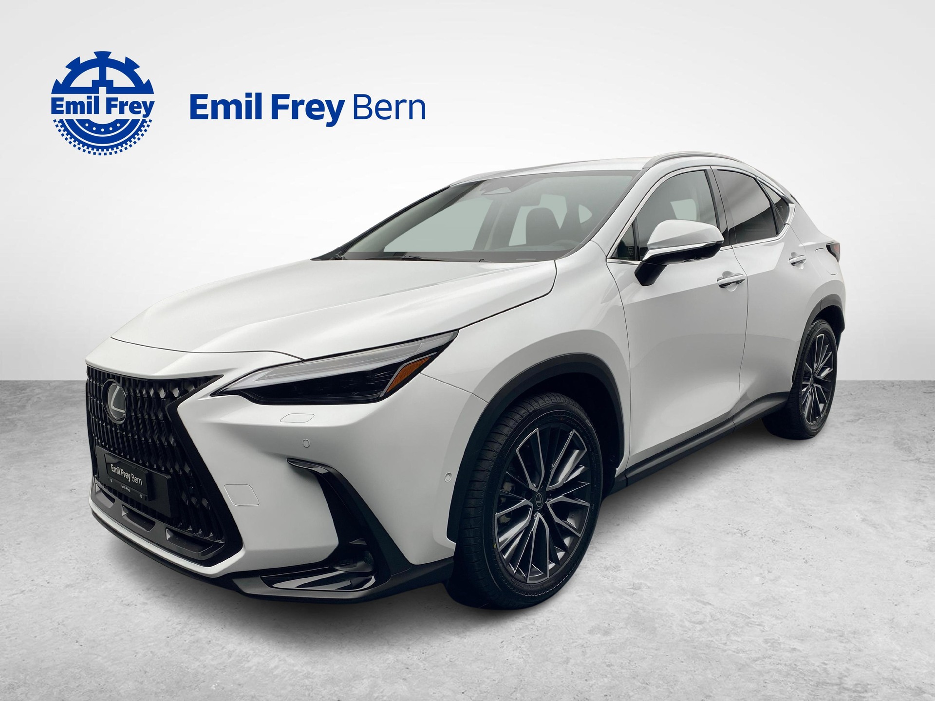 LEXUS NX 450h+ Excellence-image-0