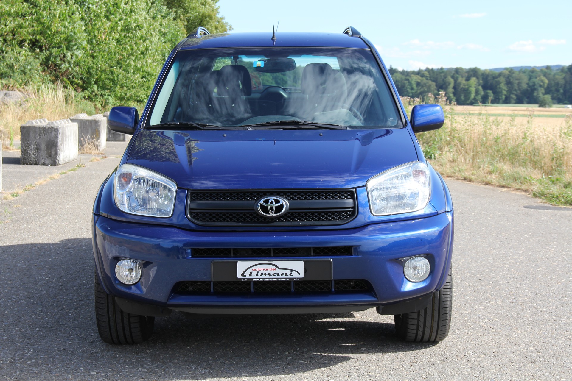 TOYOTA RAV-4 2.0 16V Linea Terra-image-2