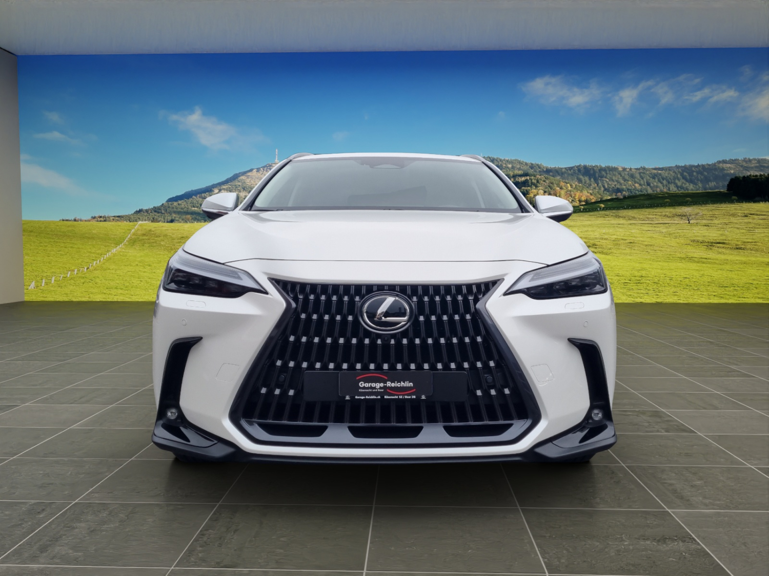 LEXUS NX 450h+ Excellence-image-7