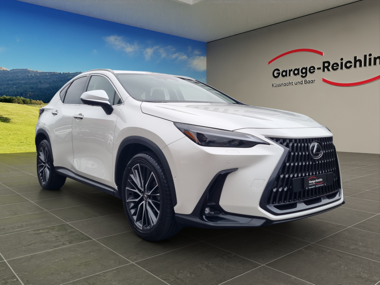 LEXUS NX 450h+ Excellence-image-6