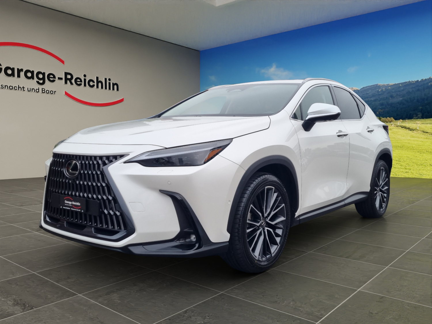 LEXUS NX 450h+ Excellence-image-0