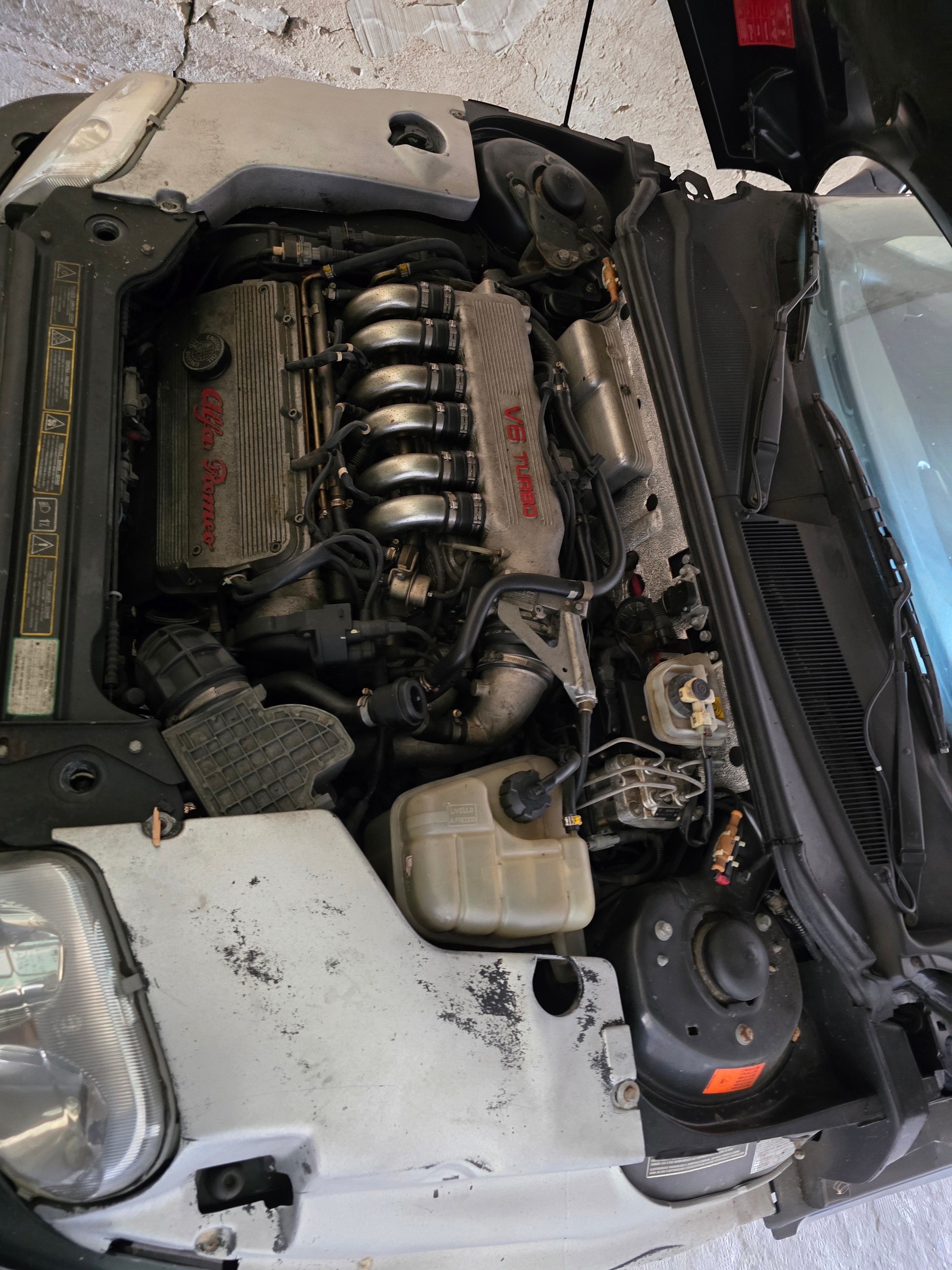 ALFA ROMEO GTV 2.0 V6 TB-image-5