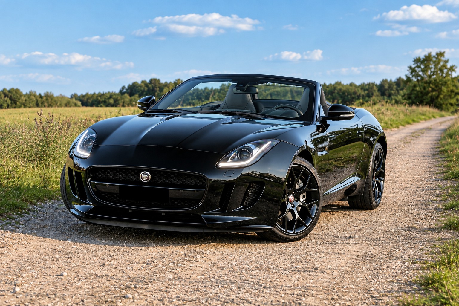 JAGUAR 3.0 V6-image-1