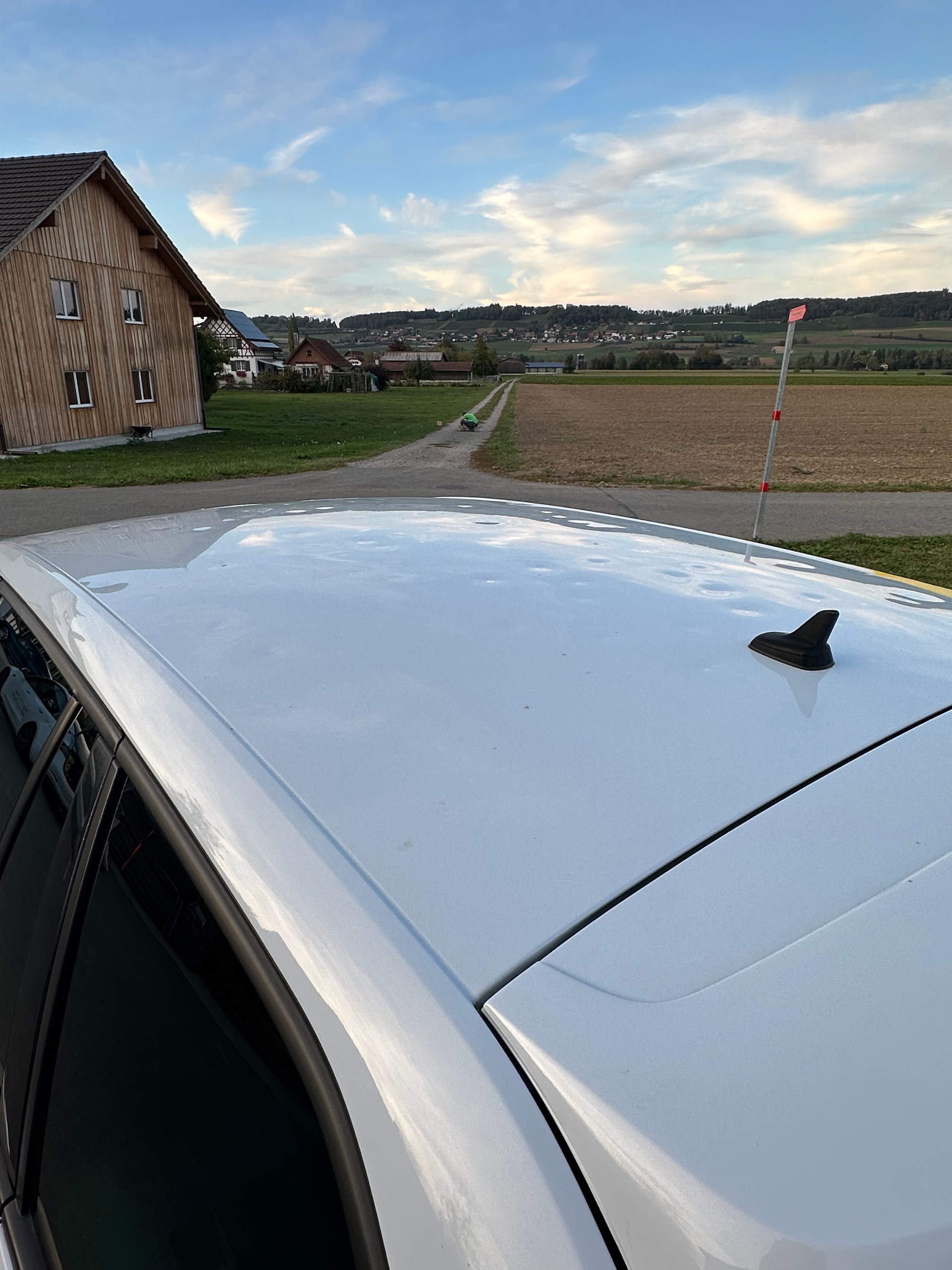 SKODA 2.0 TSI 245 RS DSG-image-3