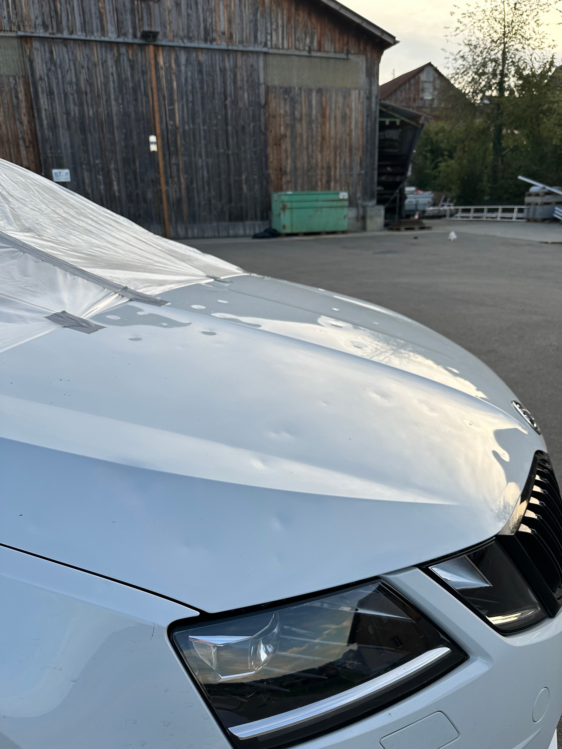 SKODA 2.0 TSI 245 RS DSG-image-2
