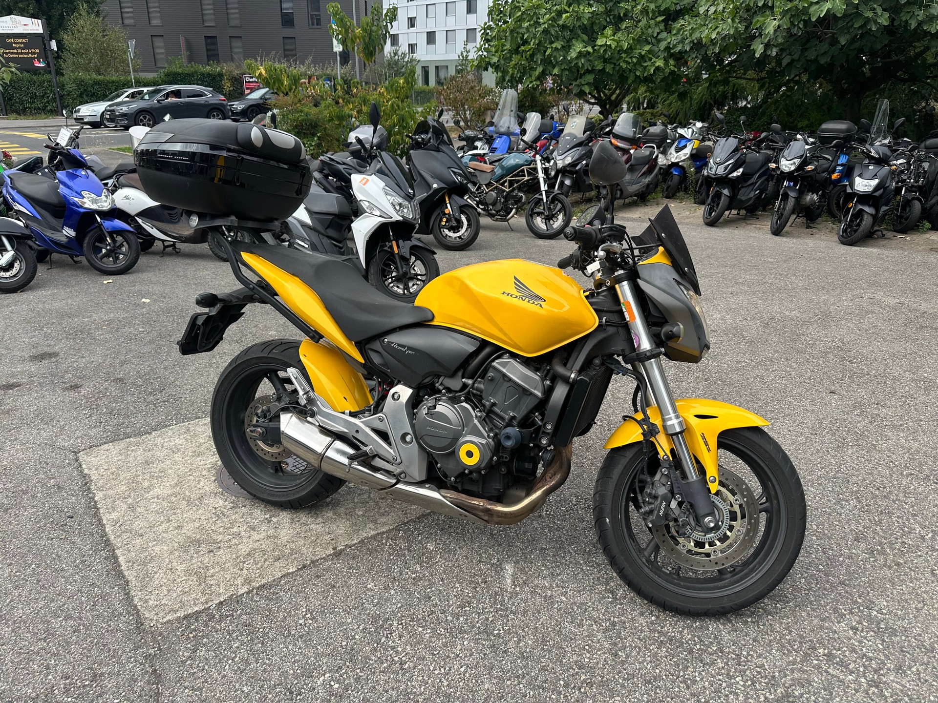 HONDA CB 600 F ABS Hornet