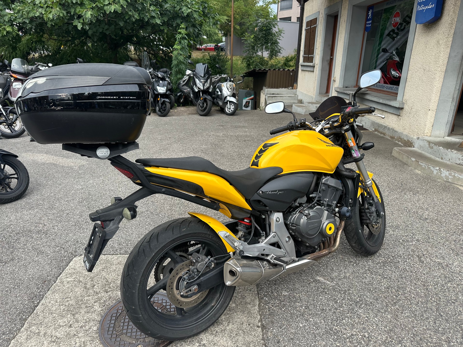 HONDA CB 600 F ABS Hornet-image-4