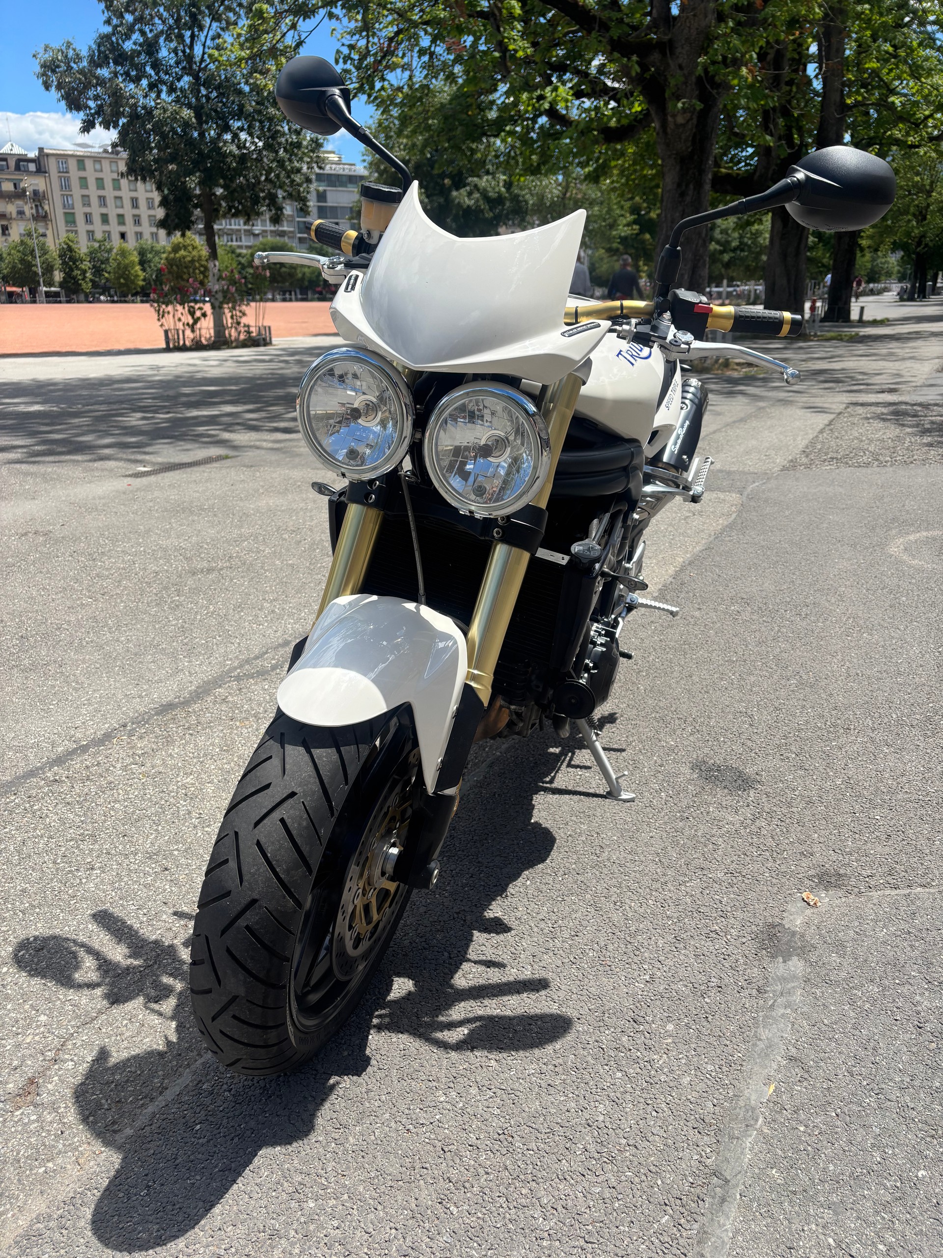 TRIUMPH Speed Triple 1050-image-2